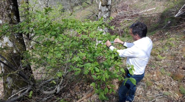 SANTA MARTA previne – Largada da BioVespa no concelho de Santa Marta de Penaguião.