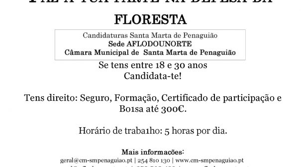 Candidaturas abertas – Voluntariado Jovem na Floresta