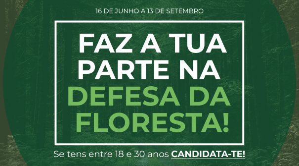 Voluntariado Jovem para a Natureza e Florestas