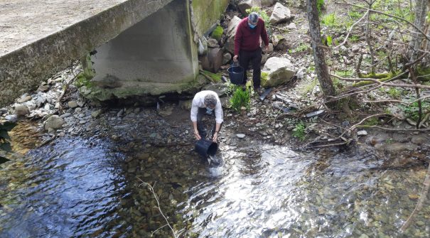 Ação de repovoamento de trutas do rio Aguilhão 2021