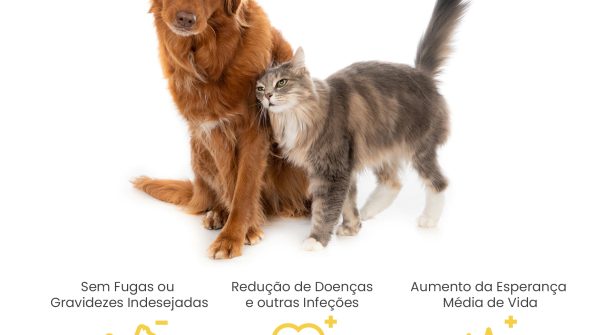 CAMPANHA ESTERILIZAÇÃO DE ANIMAIS DE COMPANHIA 2024 (Cães e Gatos) COMPARTICIPADA